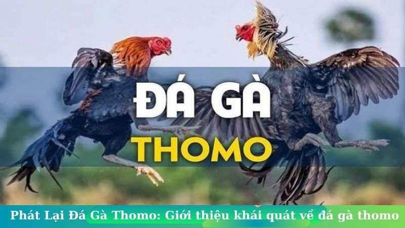 da ga thomo